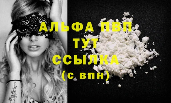 тгк Абаза