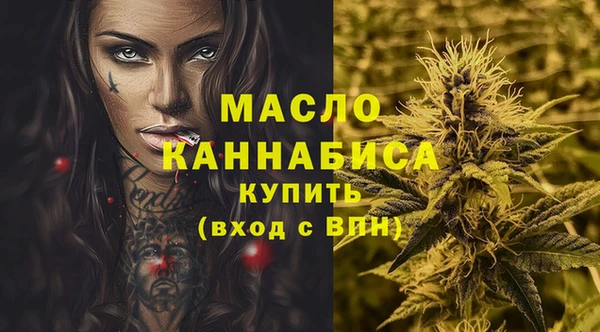 тгк Абаза