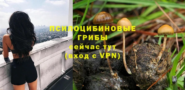 тгк Абаза