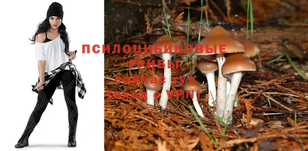 гашишное масло Абинск