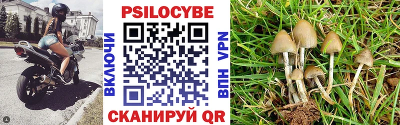 Псилоцибиновые грибы Psilocybine cubensis  Нариманов 